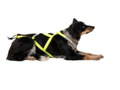 NeonTrail PRO Mushing Postroj – neon žltá (Limited Edition)