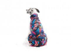 Hoodie for dogs COLORIT