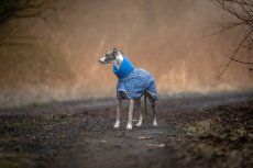 Blue Kaleido – softshell pláštěnka pro psy