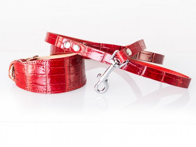 Leather leash, ZARYA EXOT RED strap width 15 mm