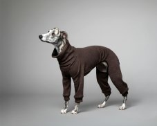 Merino Dog Overall – 100% MERINO | MUST HAVE 2026