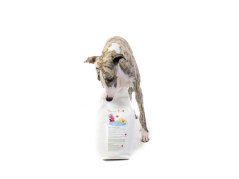 Granule pro citlivé psy KRŮTA & BRAMBORY 1 kg