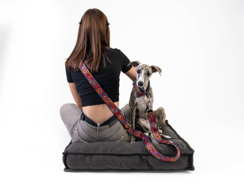 Sada INDY obojek s vodítkem 2m