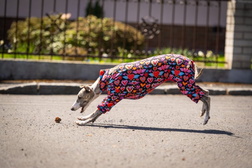 HEART ATTACK SUIT - overal pro psy
