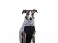 FLEX FIT – športový sveter pre psov