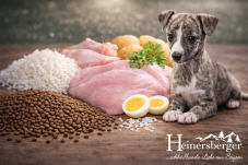 Heinersberger PRO ŠTĚŇATA, BŘEZÍ A KOJÍCÍ FENY - 15kg