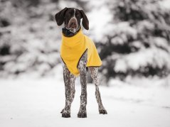Warmkeeper dog sweater
