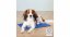 Cooling pad for animals, blue