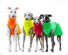 Warm polar fleece sweatshirt for dogs