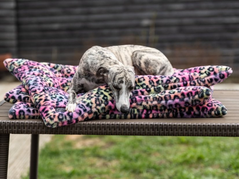 NEON LEOPARD SOFT – plyšová deka pro psy