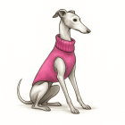 Italian Greyhound