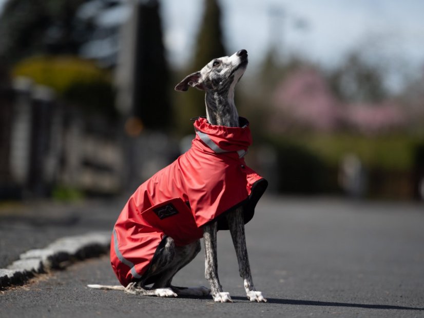 Outdoor Aqua - voděodolná pláštěnka pro psy