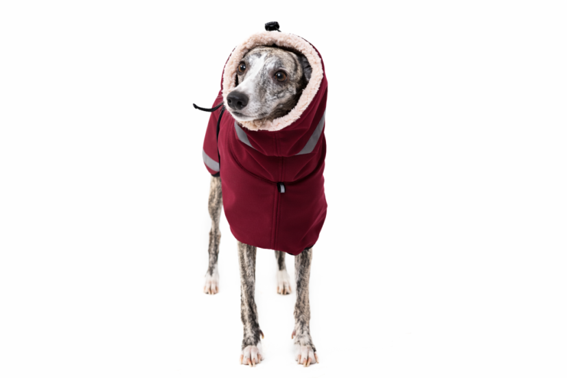 Zimní  bunda pro psy - TerraLuxe Softshell Winter