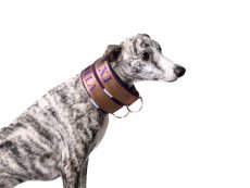 ZARYA COMFORT 3D GOLD – personalizovaný luxusní polostahovací obojek