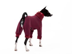 Basenji warmkeeper OVERAL