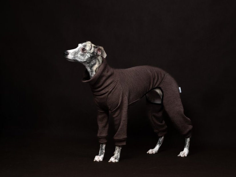 Merino overal pro psy – 100% MERINO | MUST HAVE 2026