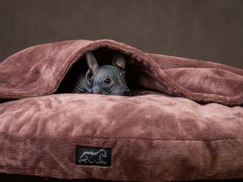 Kulatý Ortho pelíšek PET Friendly