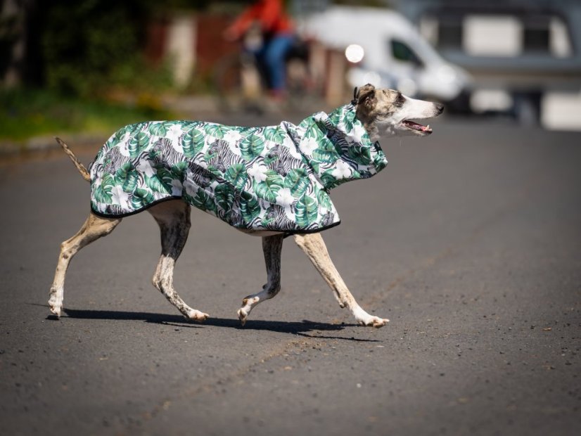 Africa Hibiscus – softshell pláštěnka pro psy