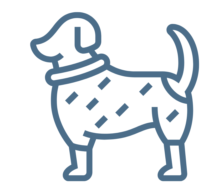 Invest in the quality and comfort of your dog - Color - beige