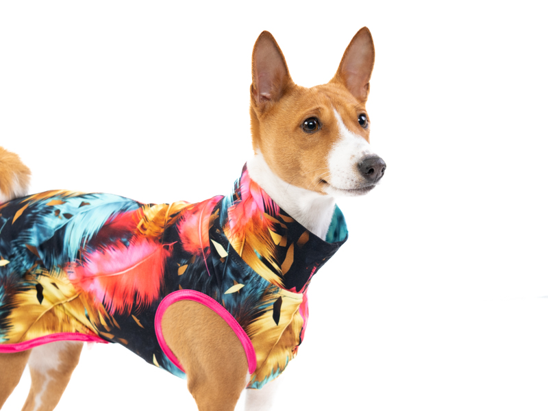 Basenji lehká mikina PÍRKA