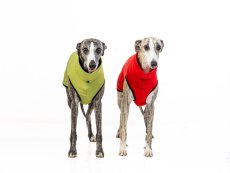 Dog Hoodie – BUTTER SOFT