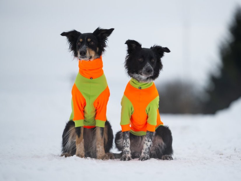 DUO ThermoFlex | sportovní MIKINA pro psy