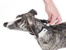 VYPOUŠTĚCÍ OBOJEK