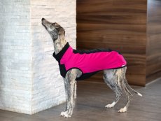 MAGENTA FLEX – funkční mikina pro psy