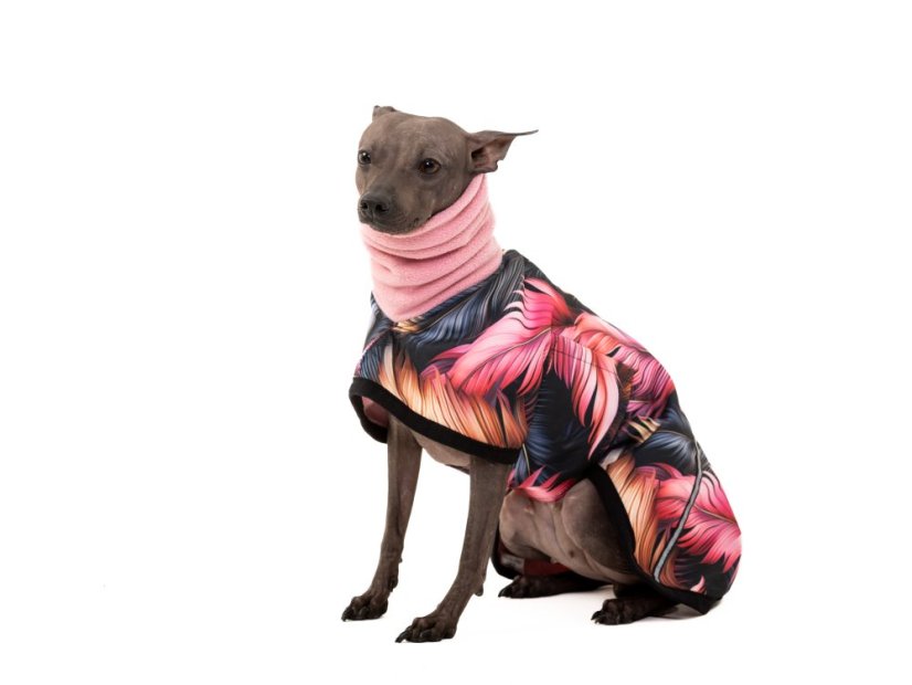 Basenji CODURA LISTY bunda podšitá