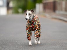Warm Dog Overall – WARMKEEPER Skull