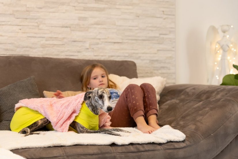 Bambusové triko pro psy – jemná druhá vrstva pro citlivou kůži