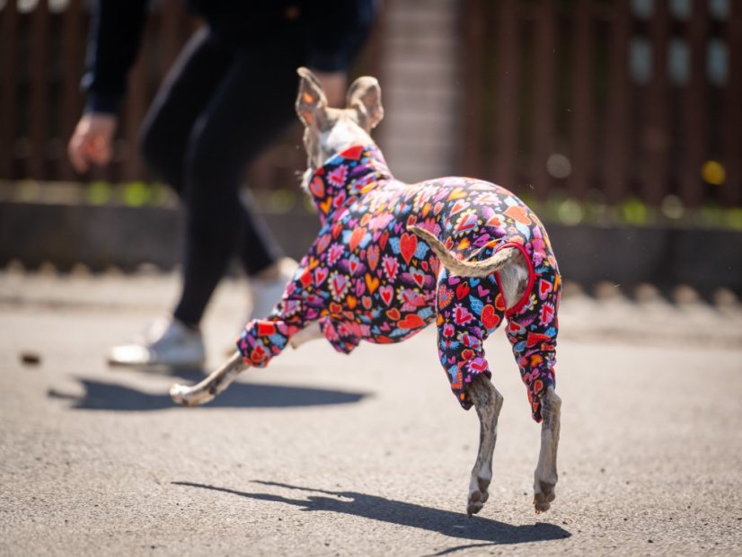 HEART ATTACK SUIT - overal pro psy