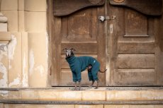 FLEX COTTON SUIT – overal pro psy