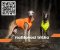 Trénink a Sportovní Výživa Greyhoundů: Výzkum a Novinky ze Světa Dostihů a Coursingu