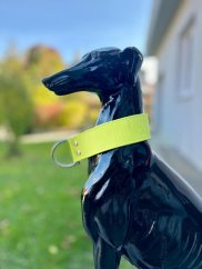 Obojek polostahovací LIMETKA KŮŽE 4cm