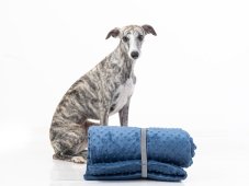 Travel Dog Blanket 95 × 70 cm - BLUE CLOUD