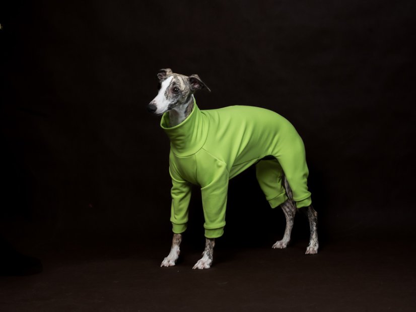 ZARYA ThermoFlex | sportovní funkční overal pro psy