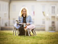 Sportovní mikina z lehké teplákoviny MIKKIMAUS ROSE