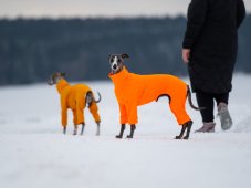 ZARYA ThermoFlex | performance functional bodysuit for dogs