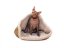 COMFORT Snuggle Sack for Dogs
