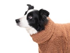 Mocca Teddy Comfort – hřejivý overal pro psy