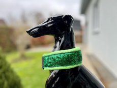 Obojok polostahovací 5cm