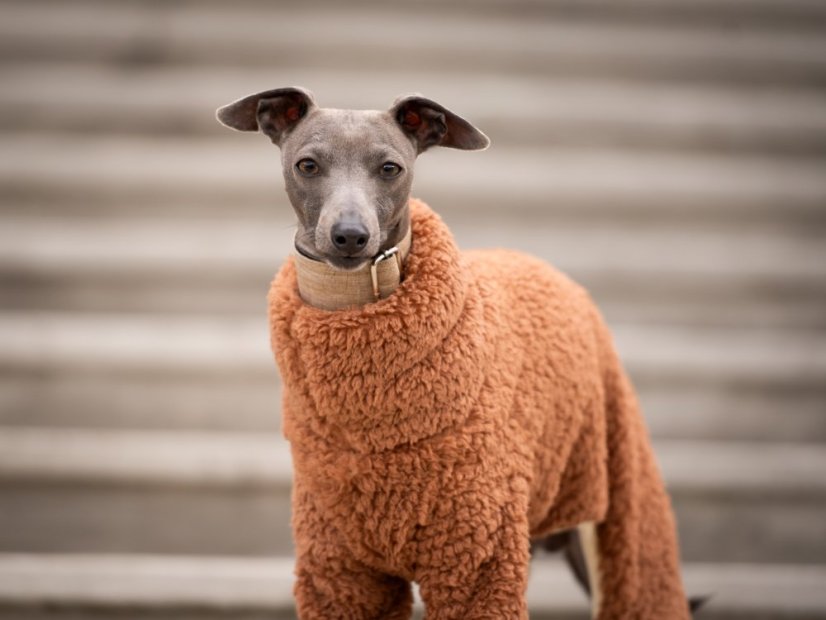 Overal MOCCA TEDDY