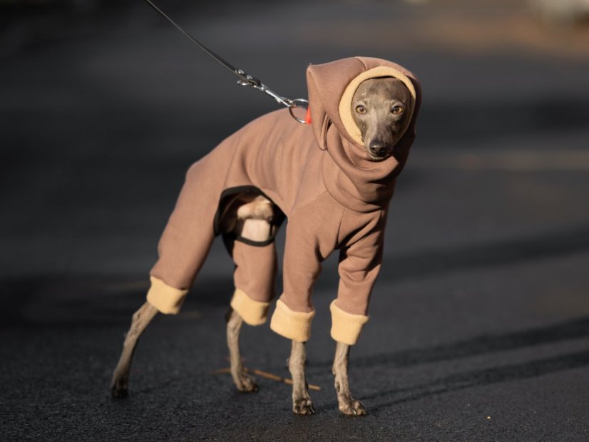 ComfyDog Overal s Kapucí