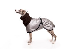 Urban Street Dog Coat