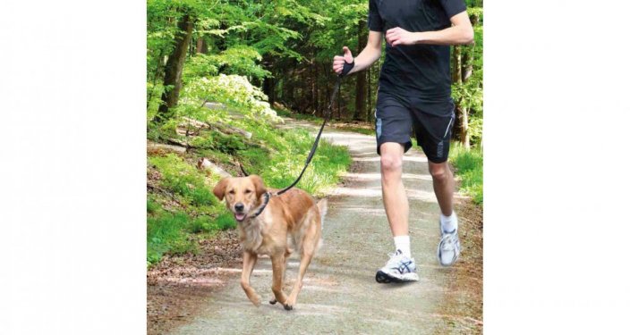 Leash for running with a dog 0.90-1.30 m / 20 mm black