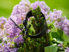 Kožený obojek Mexica pro chrty, 1,5 cm / 27-35cm, černý nepolstrovaný