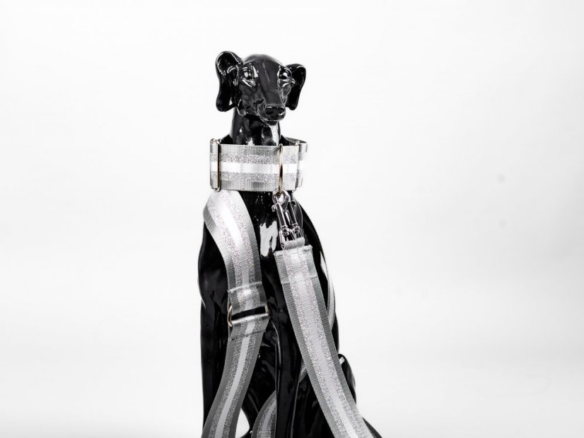 Designové vodítko s obojkem reflex