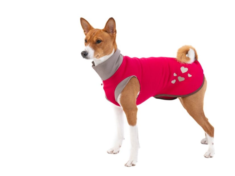 Love Hearts – mikina pro psy s ocáskem nahoru