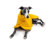 Dog Bathrobe – comfort and drying